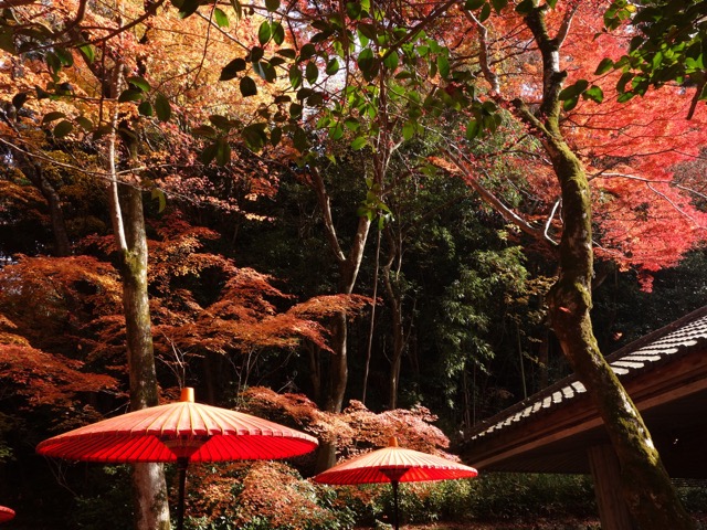 瑞宝寺公園