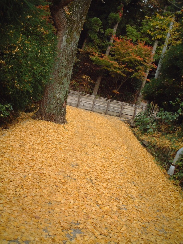 瑞宝寺公園