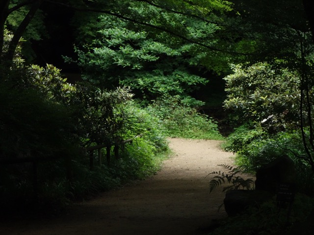 神戸市立森林植物園