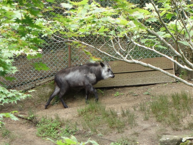 神戸市立森林植物園