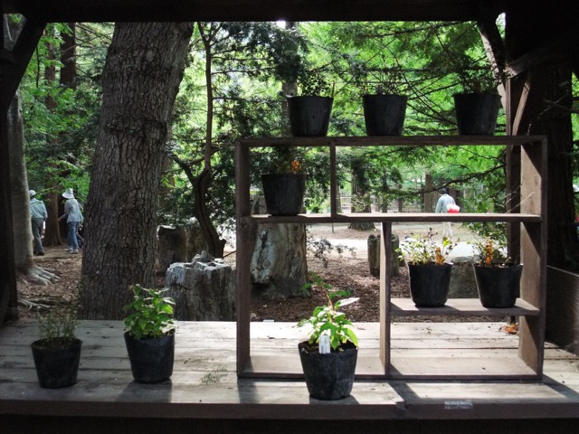 神戸市立森林植物園