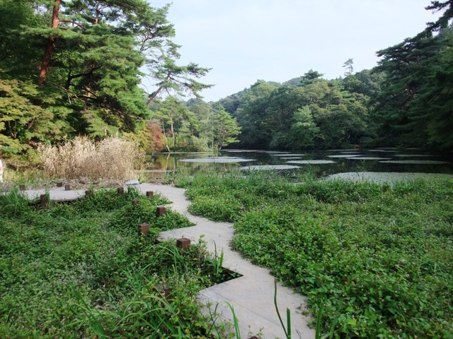 神戸市立森林植物園