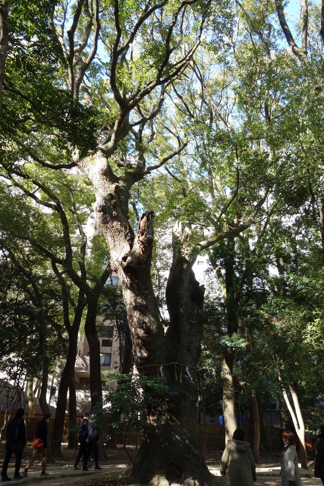 生田神社