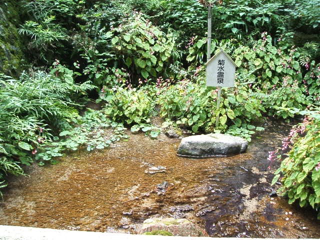 養老の滝