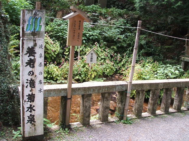 養老の滝