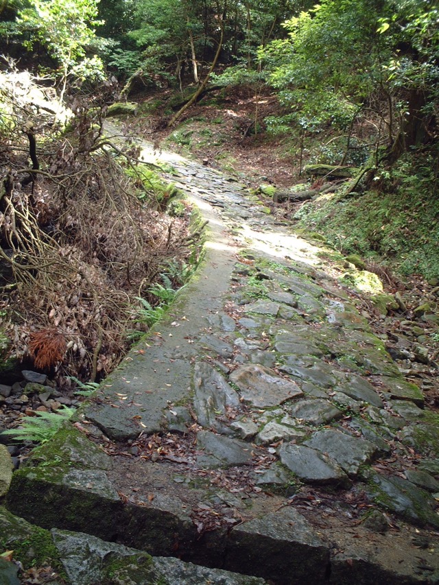 春日山原始林