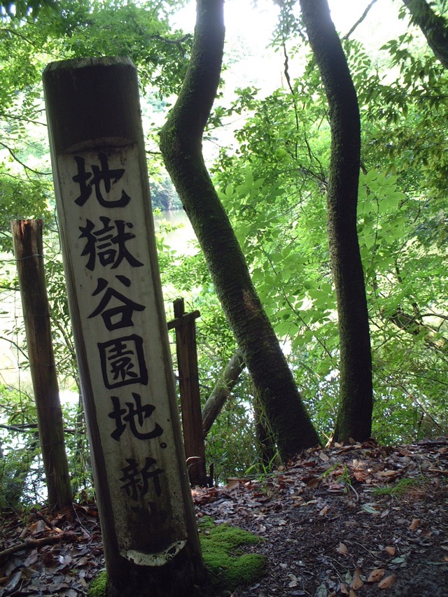 春日山原始林