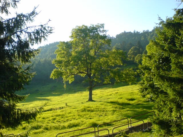 山田牧場