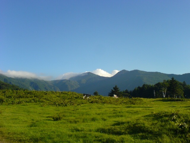 山田牧場