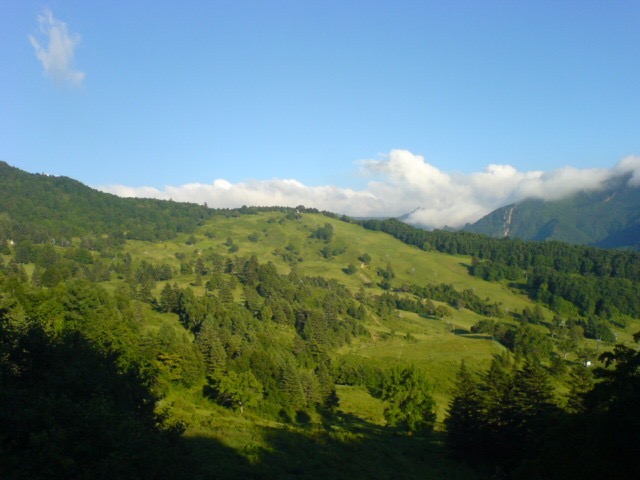 山田牧場