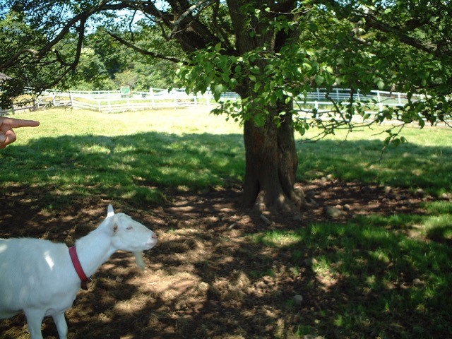 まきば公園