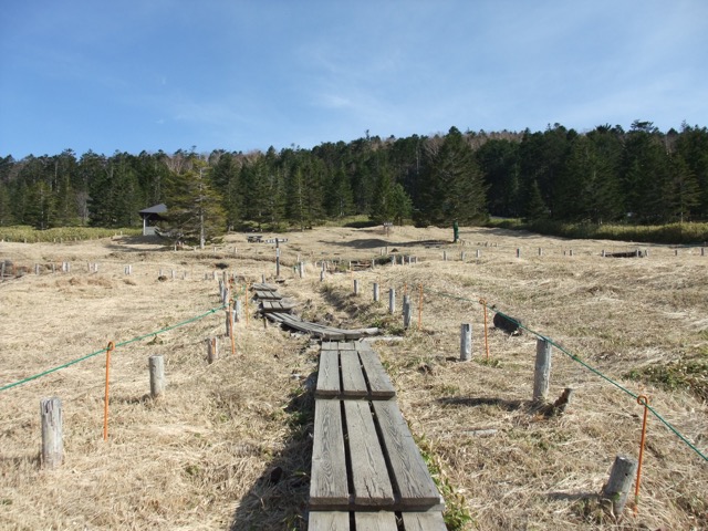 麦草峠