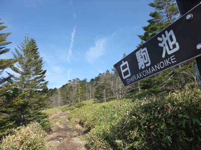 麦草峠