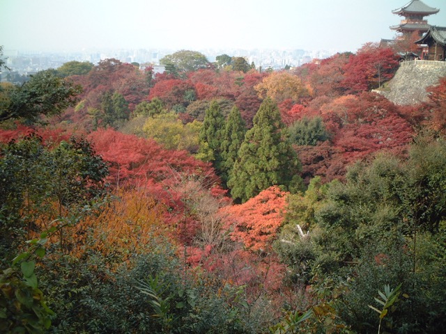 清水寺