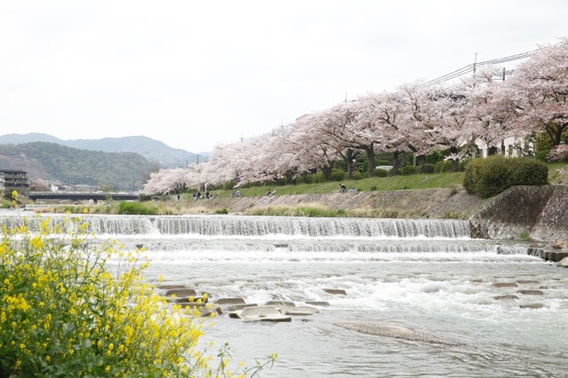 鴨川