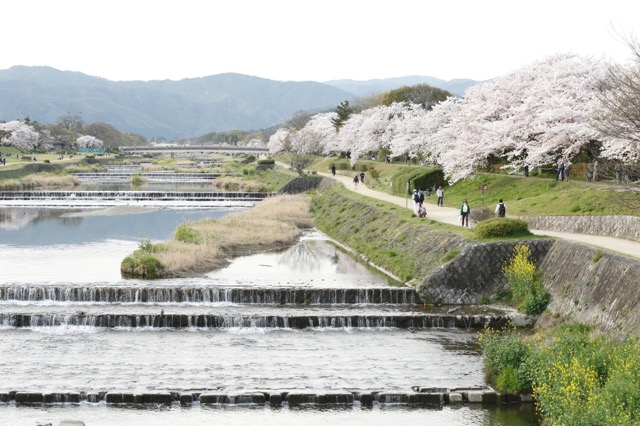 鴨川