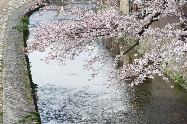 鴨川