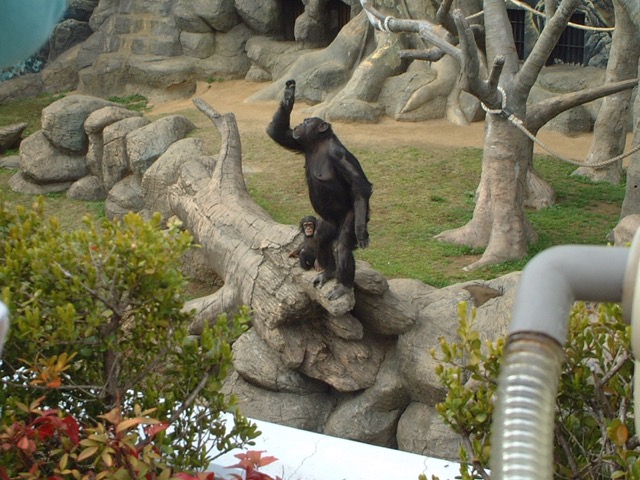 天王寺動物園