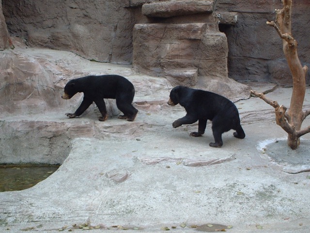 天王寺動物園