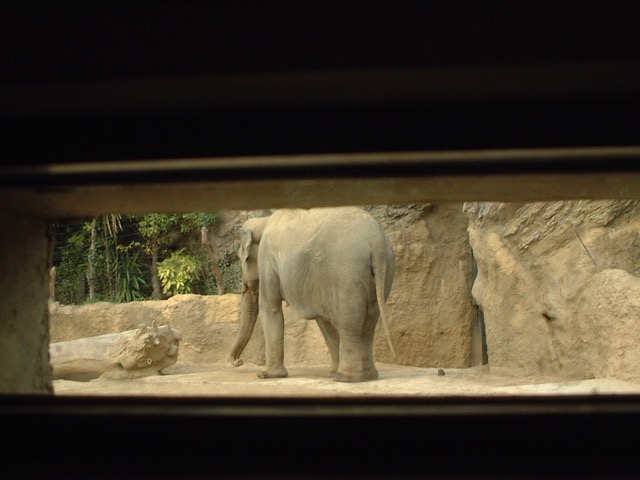 天王寺動物園