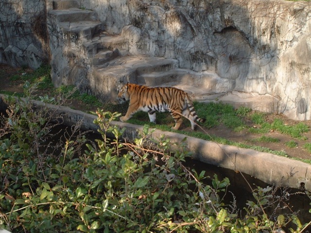 天王寺動物園