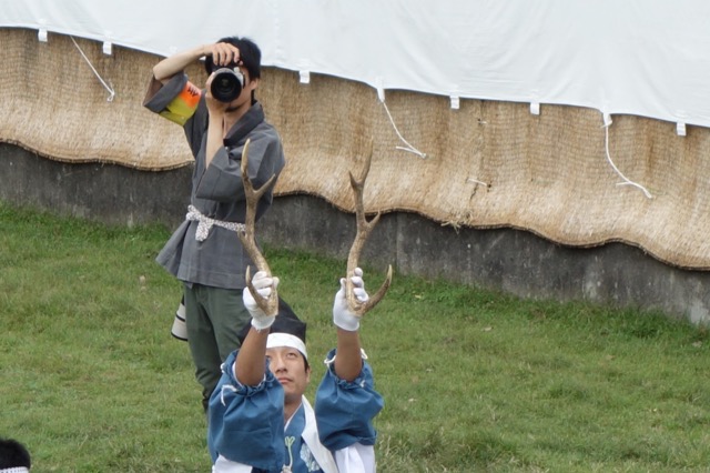 鹿の角切り