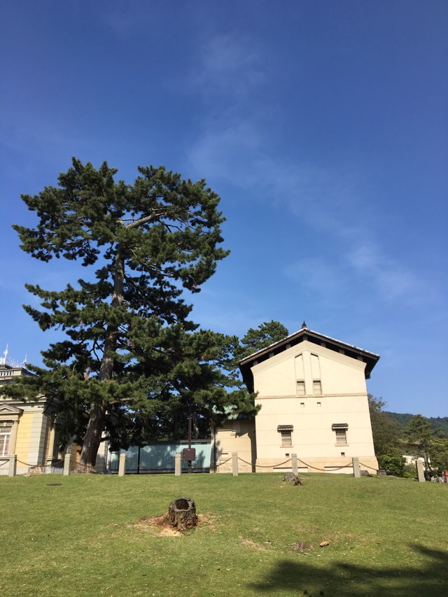 奈良国立博物館