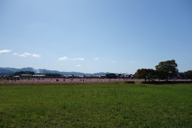 藤原宮跡