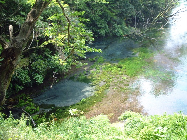 柿田川湧水群