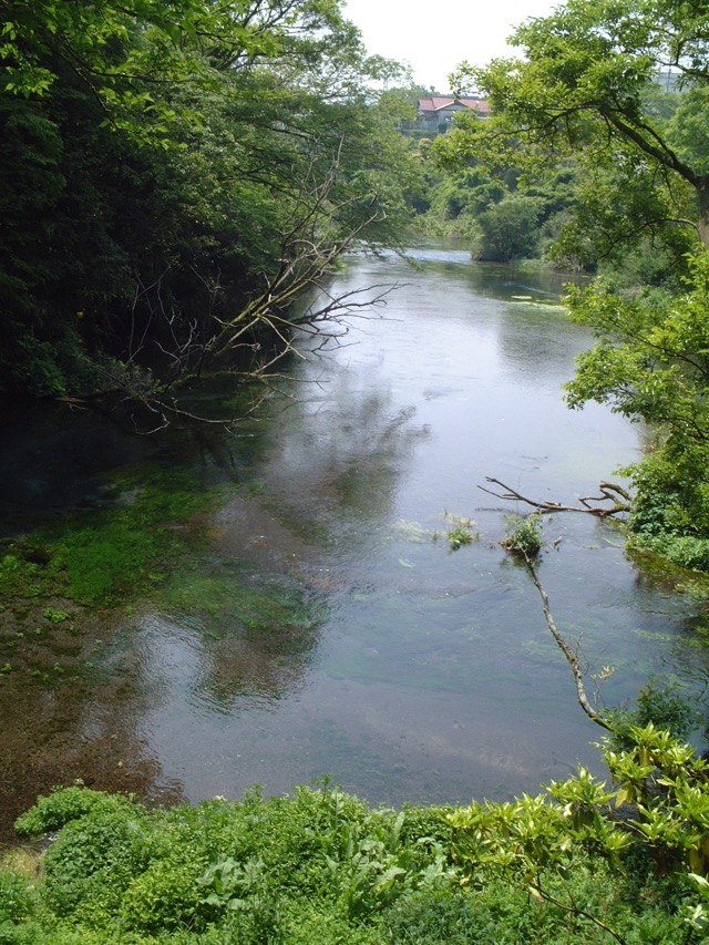 柿田川湧水群