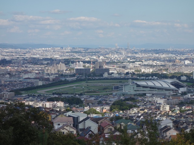 阪神競馬場