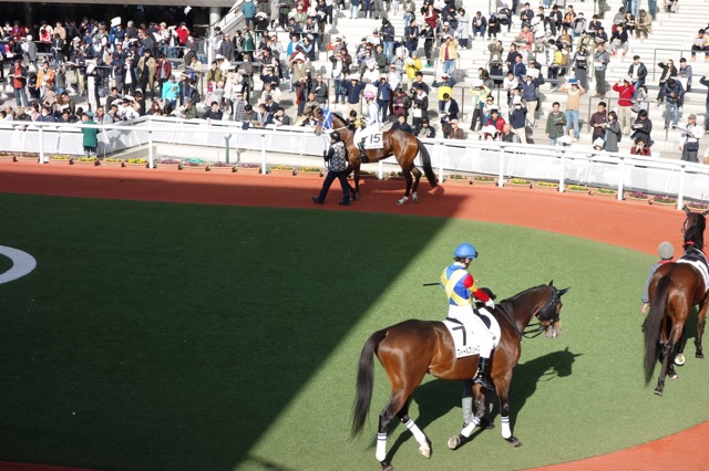 阪神競馬場