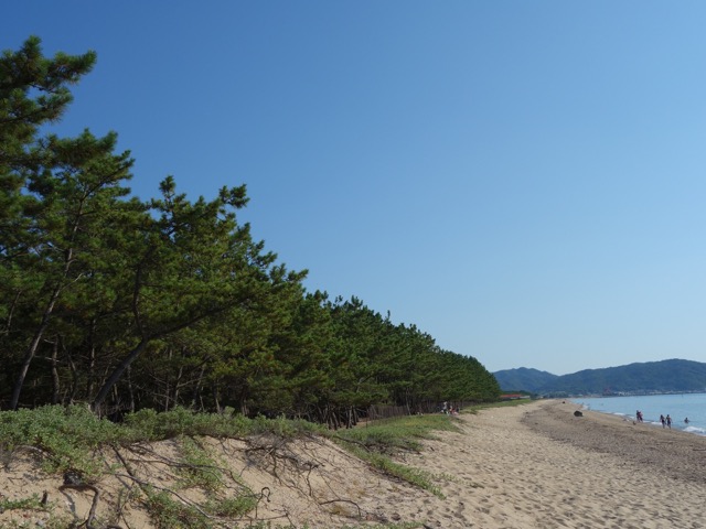 慶野松原