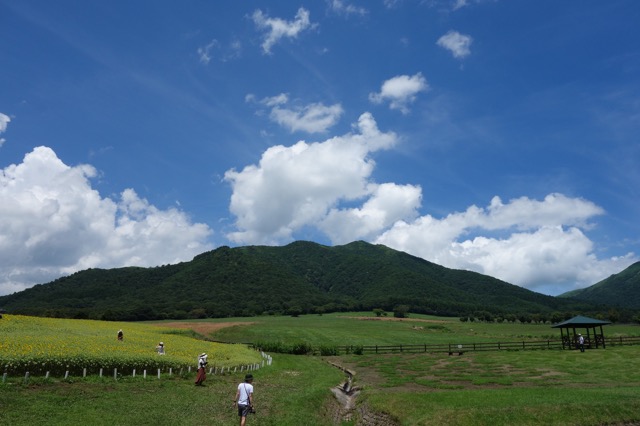 蒜山高原