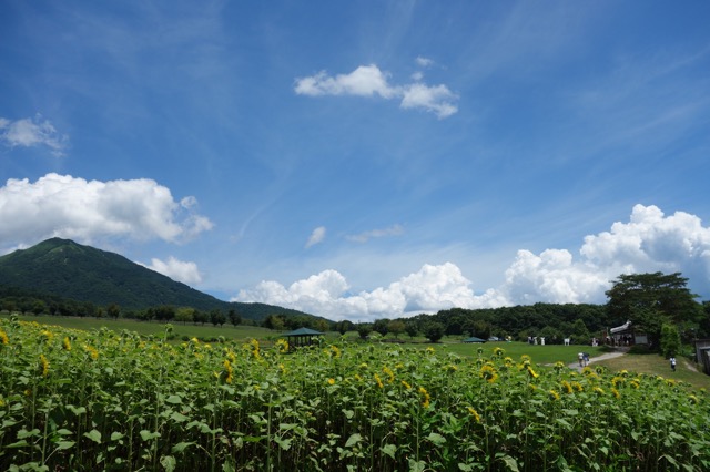 蒜山高原