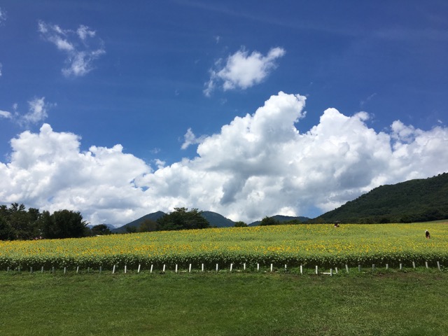 蒜山高原