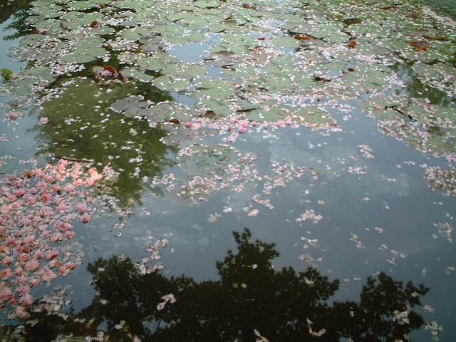 氷室神社