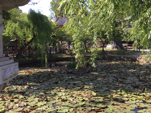 氷室神社