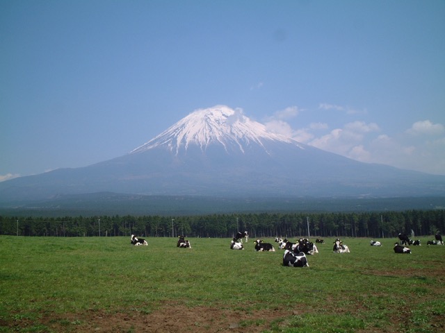 日和山海岸