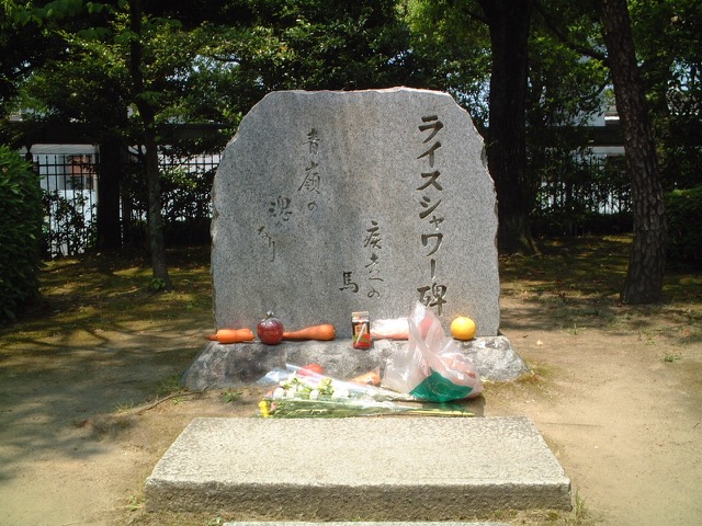 京都競馬場