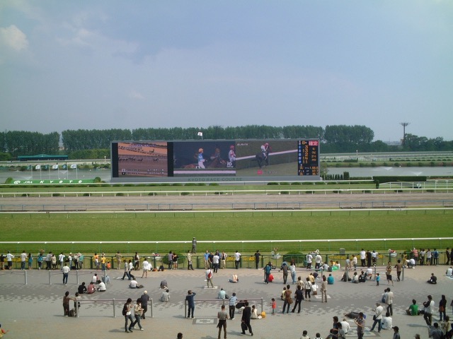 京都競馬場