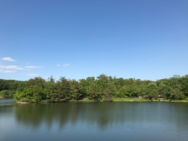 有馬富士公園