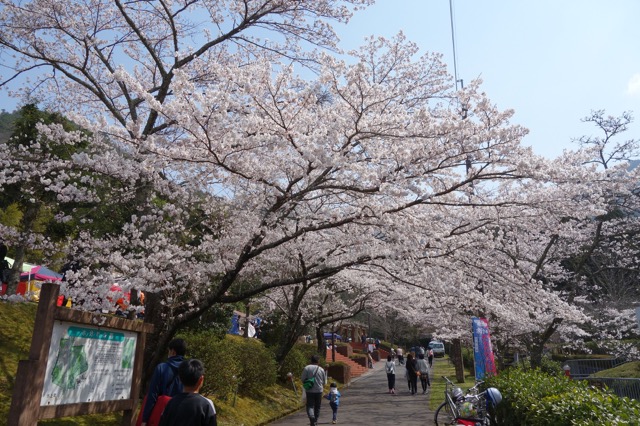 水分れ公園