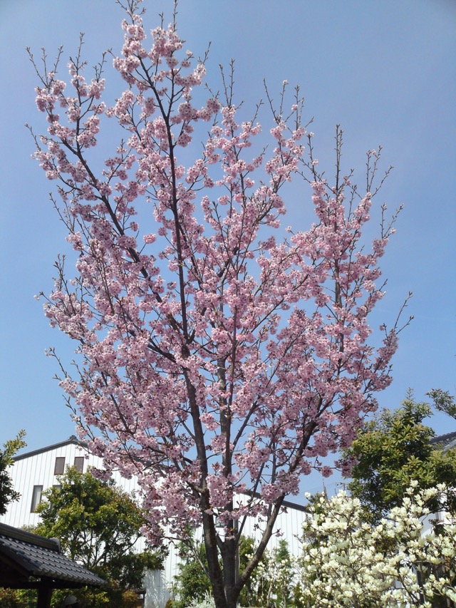 河原町妻入商家群