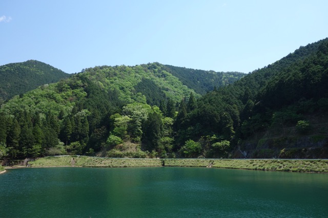 大町藤公園