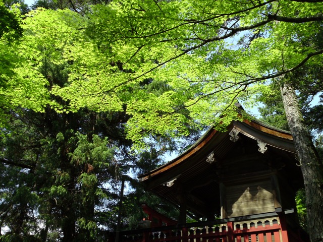 紅葉谷公園