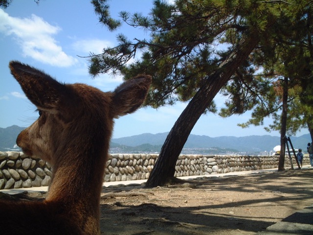 宮島