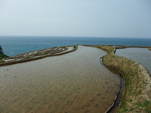 白米千枚田