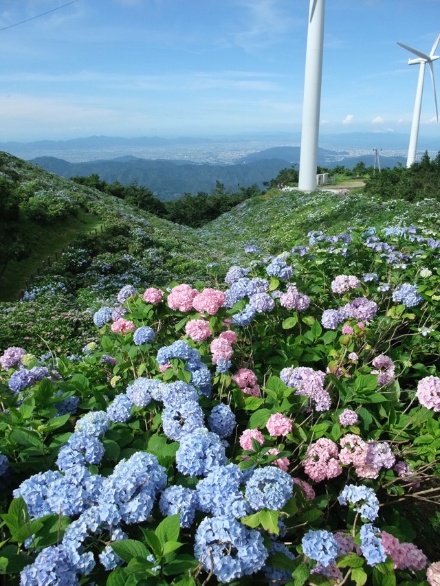 大川原高原