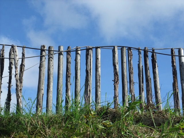 大川原高原